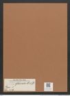 Navicula glacialis Cl. et St. (de-Toni-Nr.: Genus 1, Species 479) Zeichnungen Sammlung Grunow Mappe 00423 (Herbarium_W_Grunow_drawings_Folder_00423)